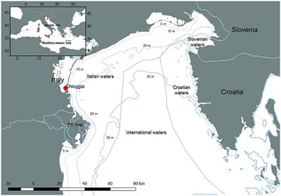 Analysis of Long-Term Changes in a Mediterranean Marine Ecosystem Based on Fishery Landings